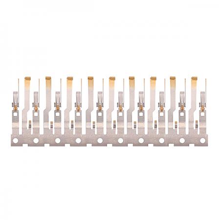 连续镀金产品8X5A9769图片